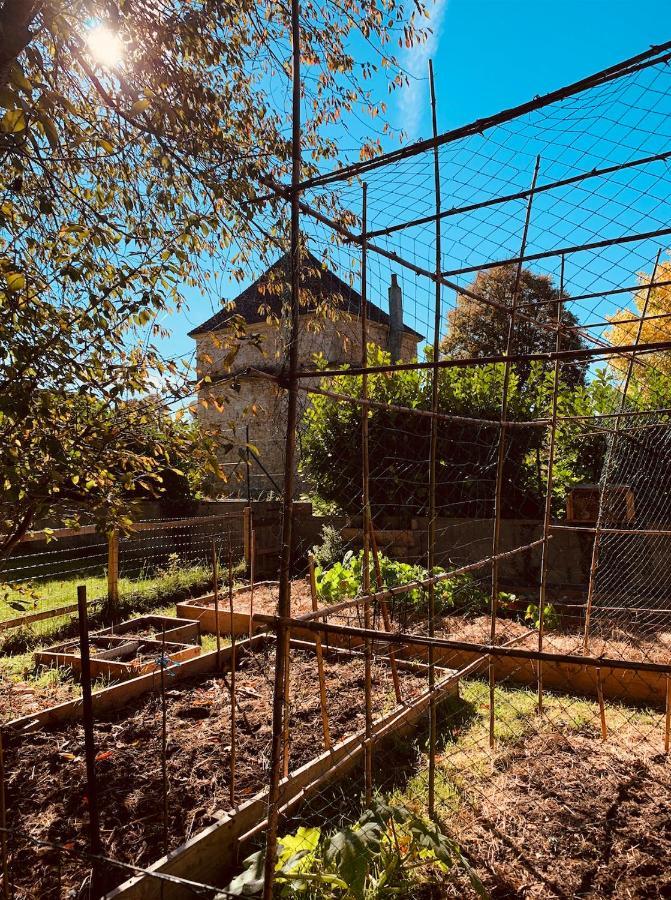 Pool House-L'Hirondelle De Sermizelles- Grand Jardin, Calme Et Nature Aux Portes Du Morvan Villa Exteriör bild