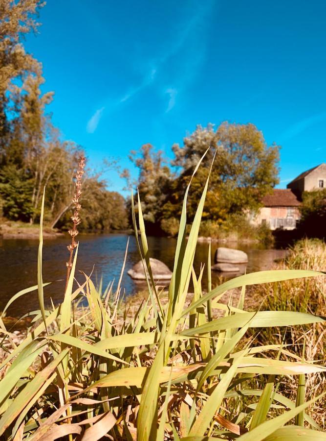 Pool House-L'Hirondelle De Sermizelles- Grand Jardin, Calme Et Nature Aux Portes Du Morvan Villa Exteriör bild