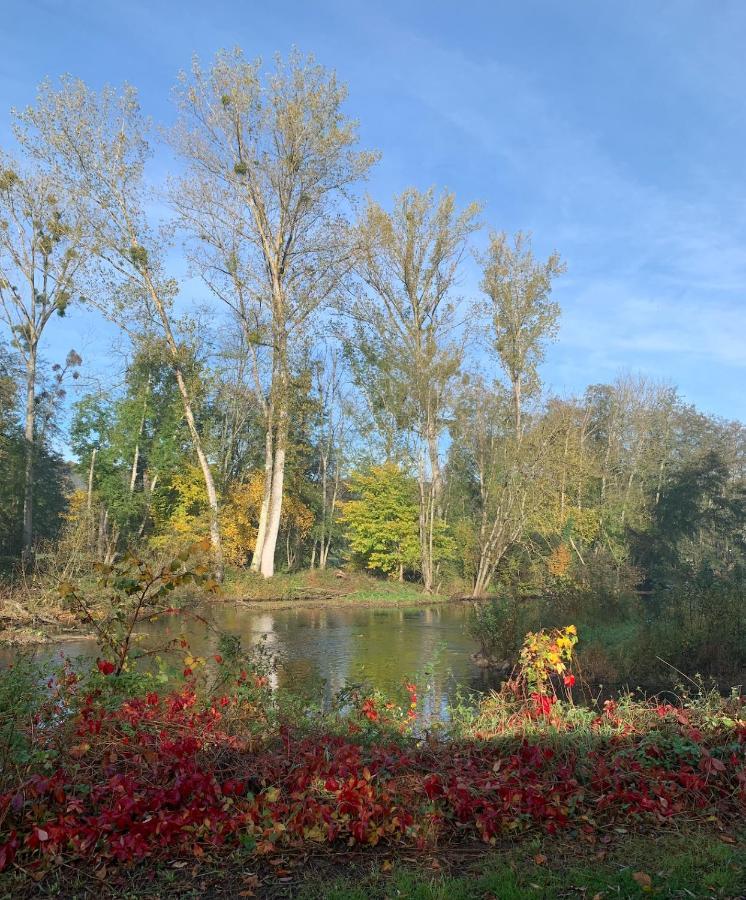 Pool House-L'Hirondelle De Sermizelles- Grand Jardin, Calme Et Nature Aux Portes Du Morvan Villa Exteriör bild