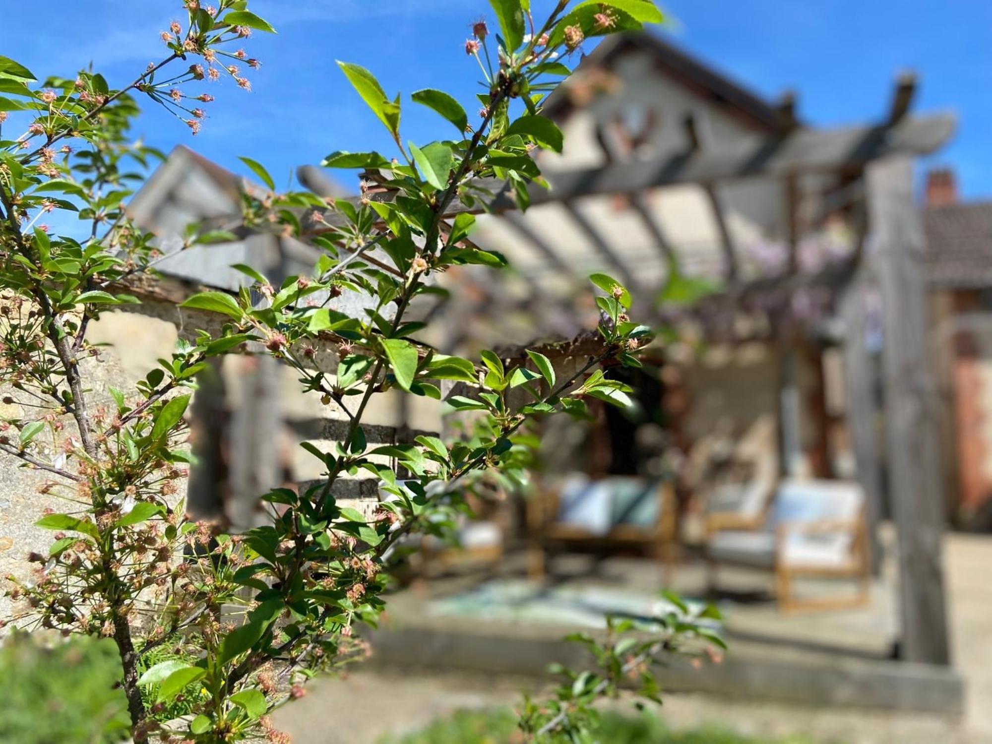 Pool House-L'Hirondelle De Sermizelles- Grand Jardin, Calme Et Nature Aux Portes Du Morvan Villa Exteriör bild