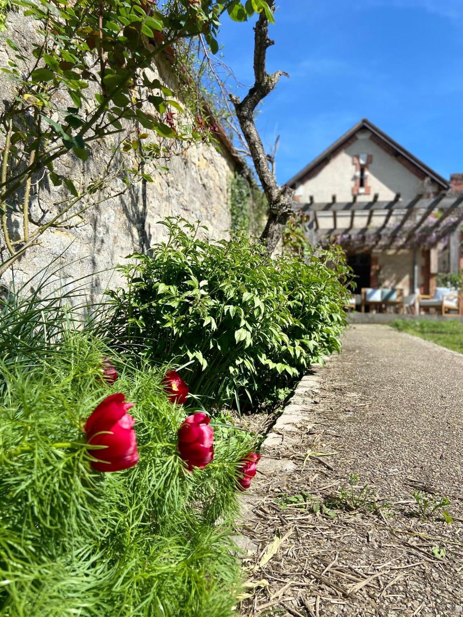 Pool House-L'Hirondelle De Sermizelles- Grand Jardin, Calme Et Nature Aux Portes Du Morvan Villa Exteriör bild